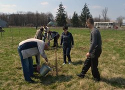 Actions “Clean Environment” and “Plant a Tree”